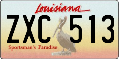 LA license plate ZXC513