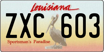 LA license plate ZXC603