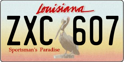 LA license plate ZXC607