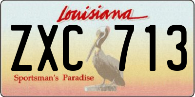 LA license plate ZXC713