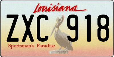 LA license plate ZXC918