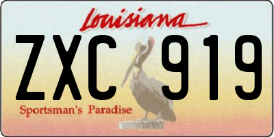 LA license plate ZXC919