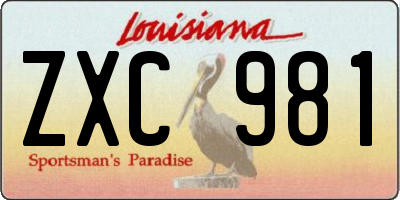 LA license plate ZXC981