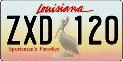 LA license plate ZXD120