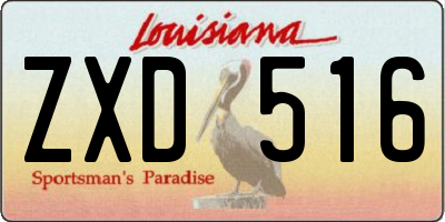 LA license plate ZXD516