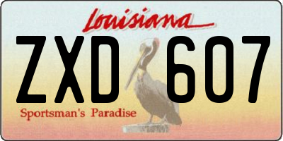 LA license plate ZXD607