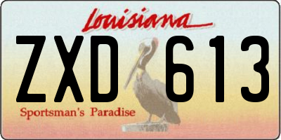 LA license plate ZXD613