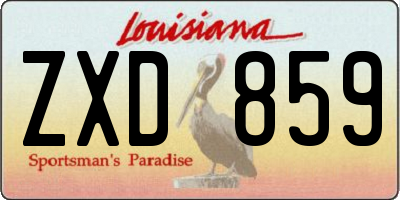 LA license plate ZXD859