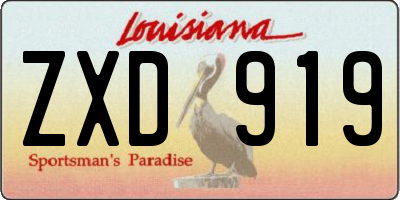 LA license plate ZXD919