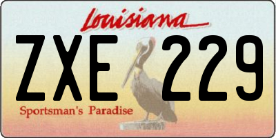 LA license plate ZXE229