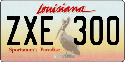 LA license plate ZXE300