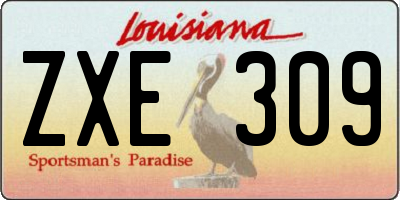 LA license plate ZXE309