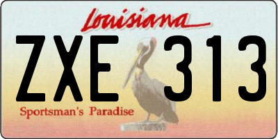 LA license plate ZXE313