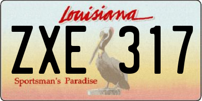 LA license plate ZXE317