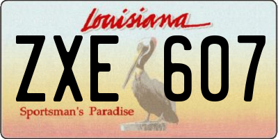 LA license plate ZXE607