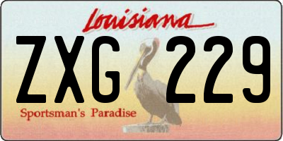 LA license plate ZXG229