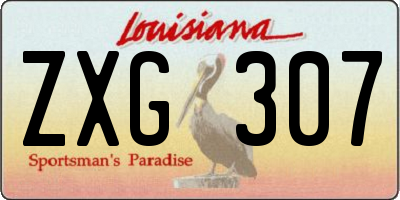 LA license plate ZXG307