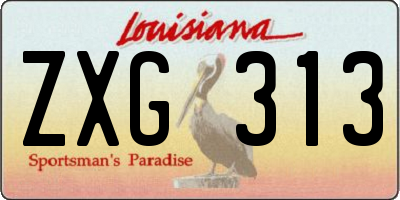 LA license plate ZXG313