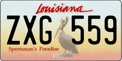 LA license plate ZXG559