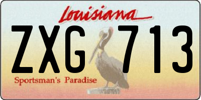 LA license plate ZXG713