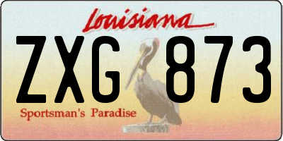 LA license plate ZXG873