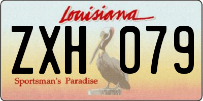 LA license plate ZXH079