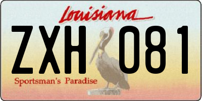 LA license plate ZXH081