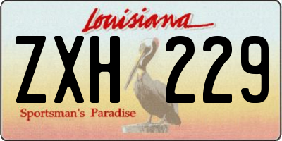 LA license plate ZXH229