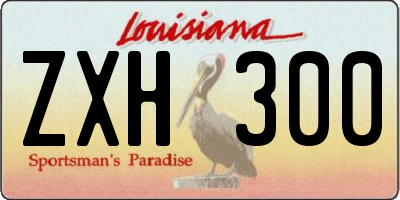 LA license plate ZXH300