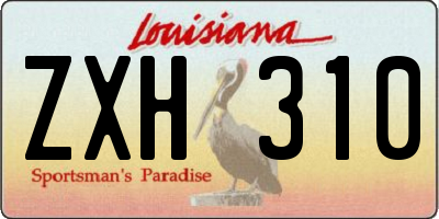 LA license plate ZXH310