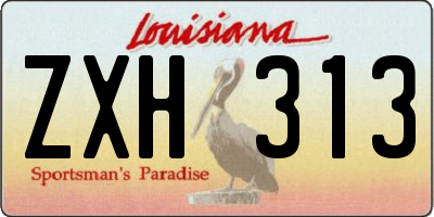 LA license plate ZXH313