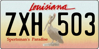 LA license plate ZXH503