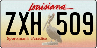 LA license plate ZXH509