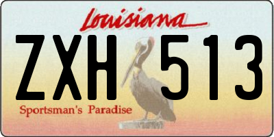 LA license plate ZXH513