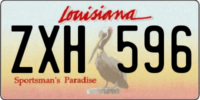 LA license plate ZXH596