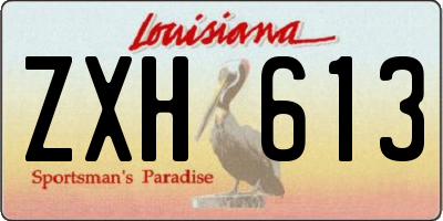 LA license plate ZXH613