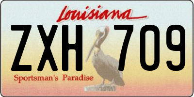 LA license plate ZXH709