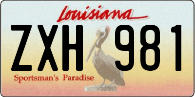 LA license plate ZXH981