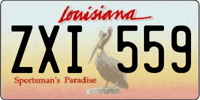 LA license plate ZXI559