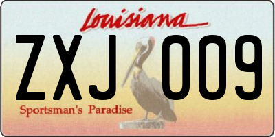 LA license plate ZXJ009