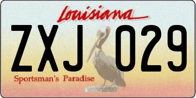 LA license plate ZXJ029