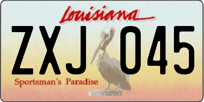 LA license plate ZXJ045