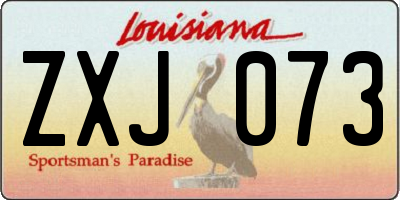 LA license plate ZXJ073