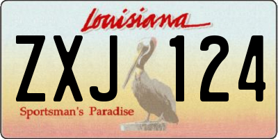 LA license plate ZXJ124