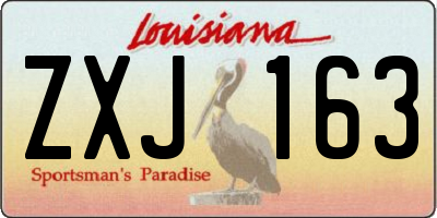 LA license plate ZXJ163