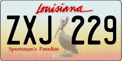 LA license plate ZXJ229