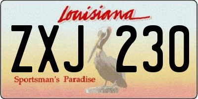 LA license plate ZXJ230