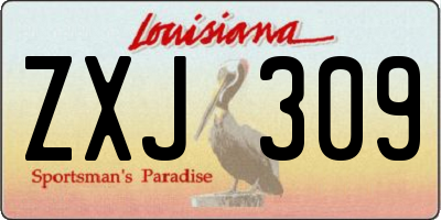 LA license plate ZXJ309