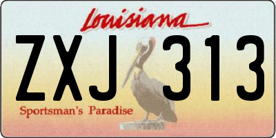 LA license plate ZXJ313