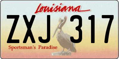 LA license plate ZXJ317